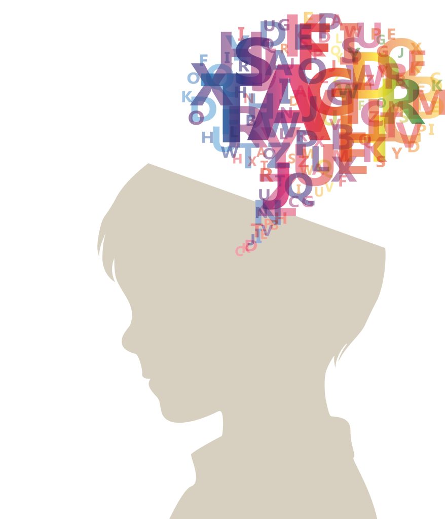 brain-kid-bc-9x12-folder